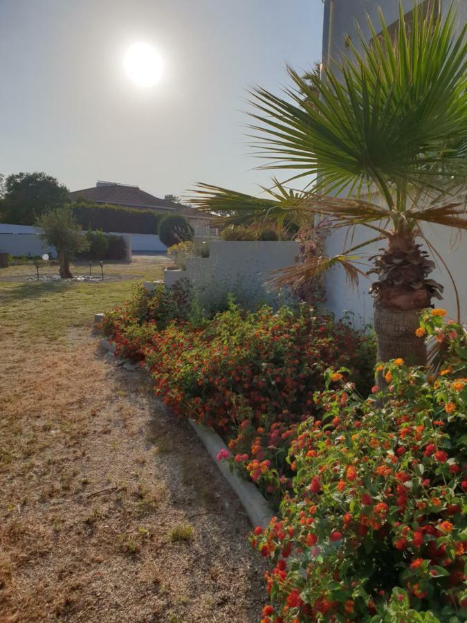 بورجو U Stagnu Locations Chambres Corse المظهر الخارجي الصورة